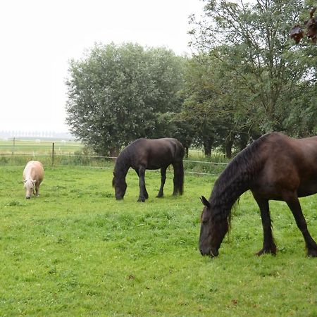 Apartment Het Friesche Paard Purmer Екстериор снимка